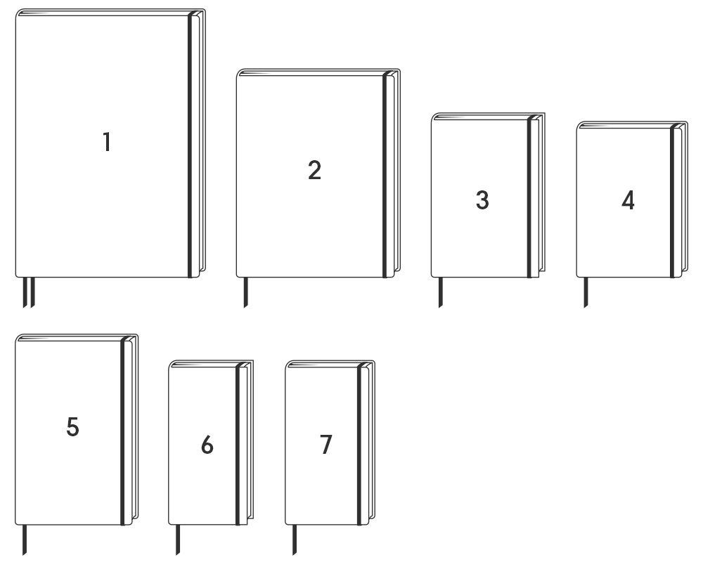 12-Monatskalender 2024 Kolibri und Schmetterlinge Midi Tagesüberblick' -  'Buchkalender & Taschenkalender